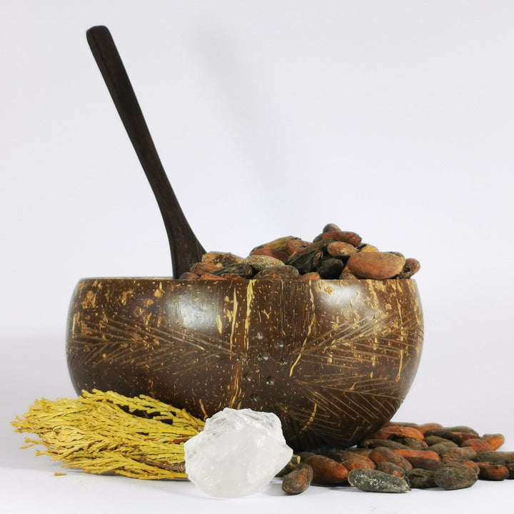 Kokos Schale Federtraum im 2er Set aus Handfertigung mit Holzlöffel