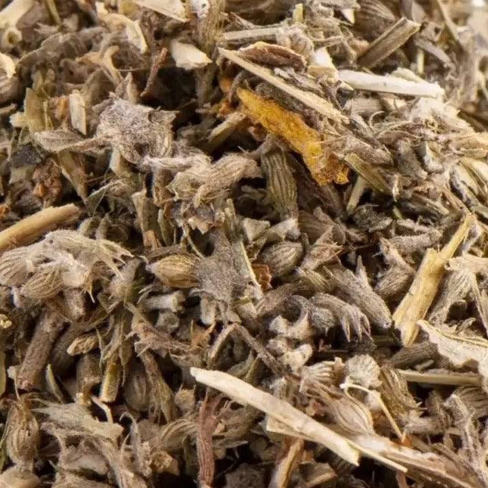 Katzenminze I Nepeta cataria - Ritualmanufaktur.de