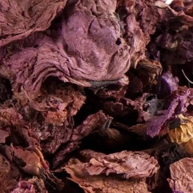 Klatschmohnblüten I Papaver Rhoeas - Ritualmanufaktur.de