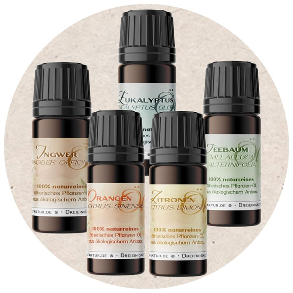 Eukalyptus ätherisches Öl I Ritualmanufaktur