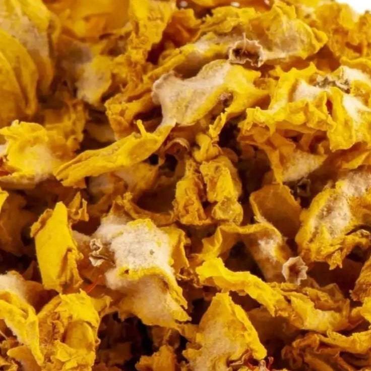 Königskerzen I Verbascum ssp. - Ritualmanufaktur.de