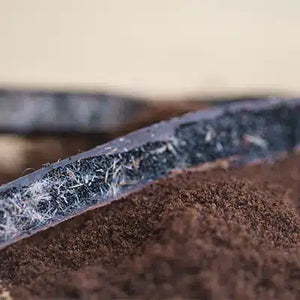 Kristall Bourbon Vanilleschote 2 Stück im Glas - Ritualmanufaktur.de