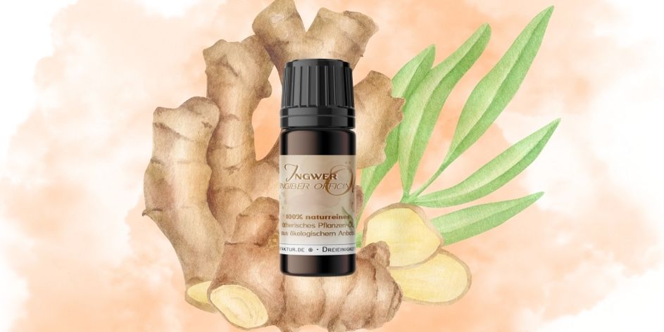 Ingwer natürliche Superpower