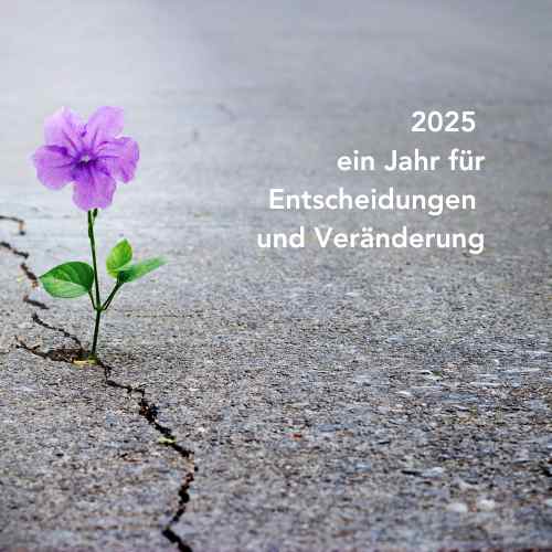 Lege den Samen für ein mutiges 2025