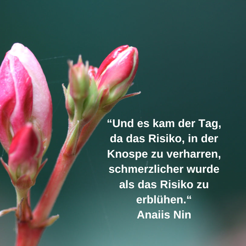 Sage JA zu der Antwort. Sie ist in dir!