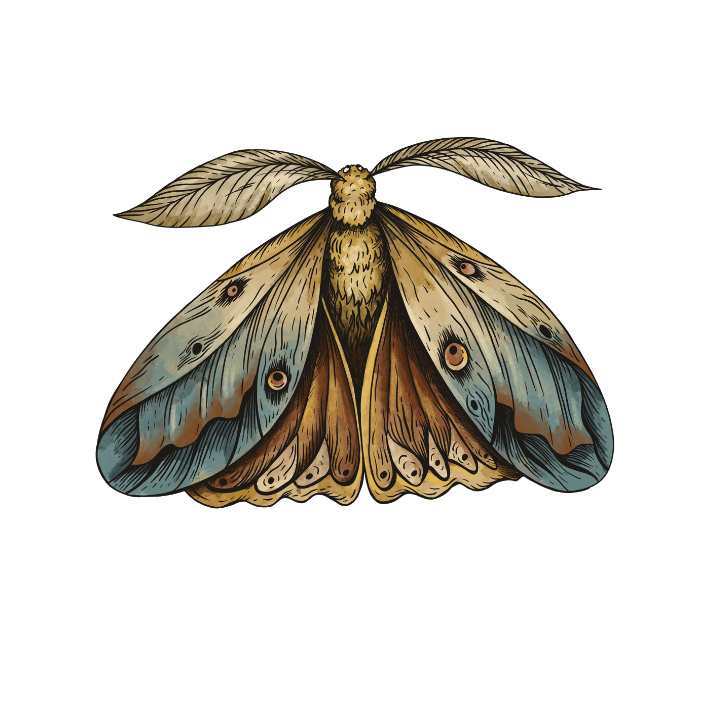 Wieso, wie lang, was kann, darf, soll ich? ACHTUNG! TRIGGERWARNUNG!