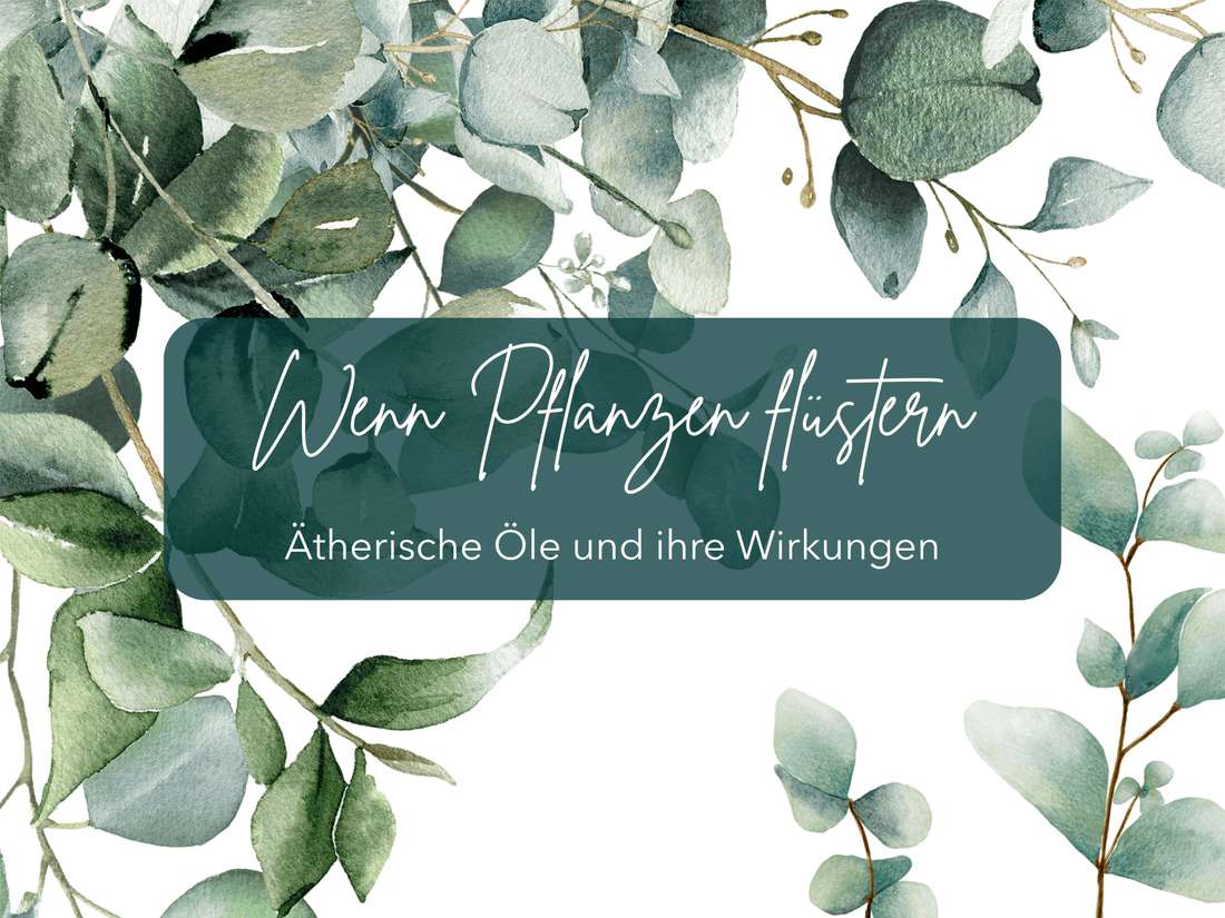 Wenn Pflanzen flüstern - Eukalyptusöl - Ritualmanufaktur.de