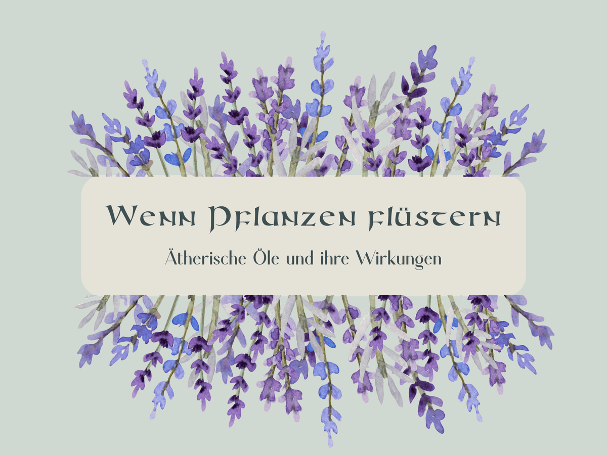 Banner für Ausgabe Lavendel - Wenn Pflanzen flüstern