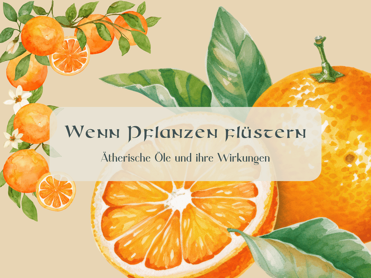 gemalte Orangen