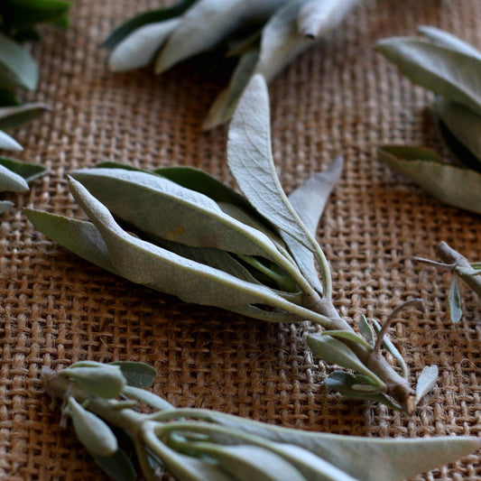 White sage