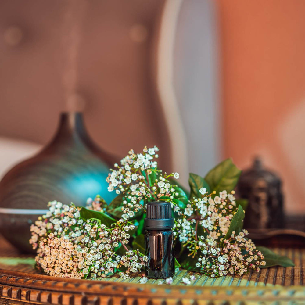 Aroma-Sets - Ritualmanufaktur.de