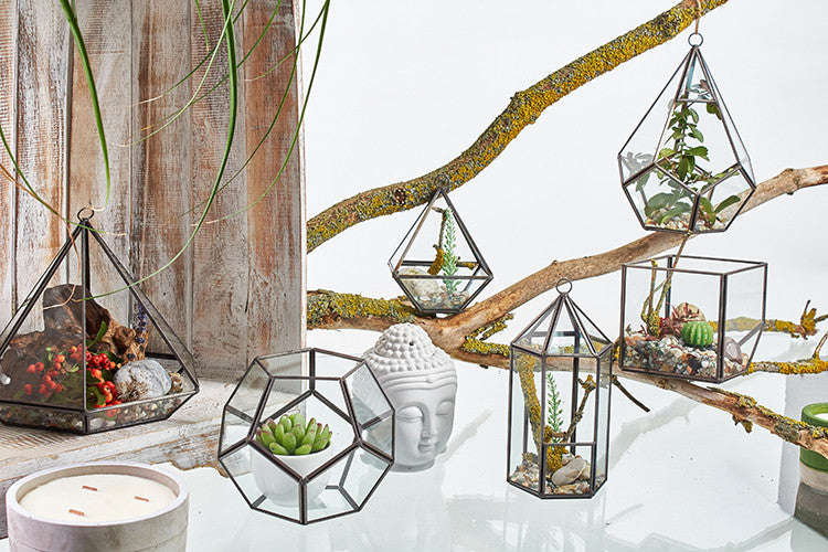 Glas/Metal Terrarium großes Achteck