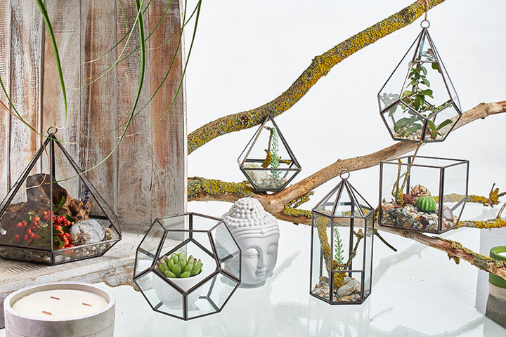 Glas/Metal Terrarium großes Achteck