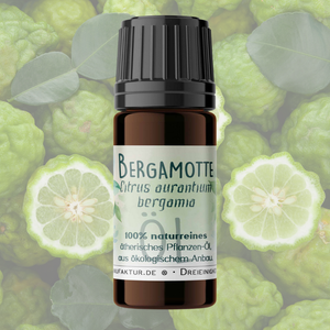 Eucalyptus natural oil essential oil