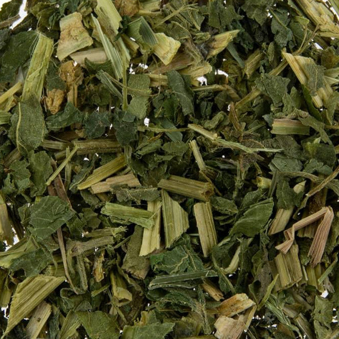 Brennnesselkraut I Urtica dioica