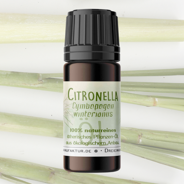 Citronella