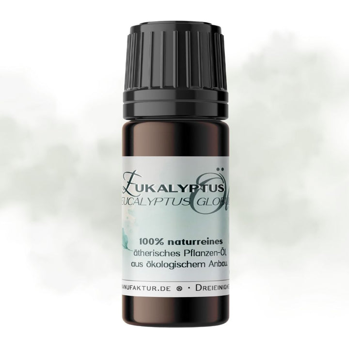 Eukalyptus naturreines ätherisches Öl