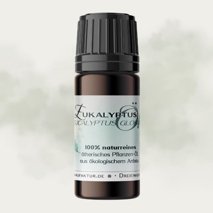 Eukalyptus naturreines ätherisches Öl
