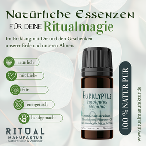 Eukalyptus ätherisches Öl