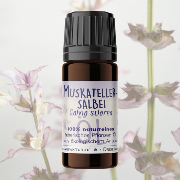 Muskatellersalbei Clary Sage