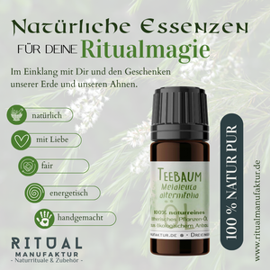 Teebaum ätherisches Öl