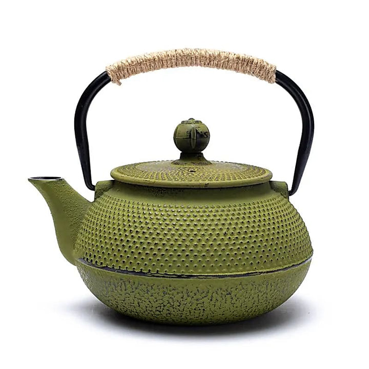 Tetsukyusu japanische Teekannen