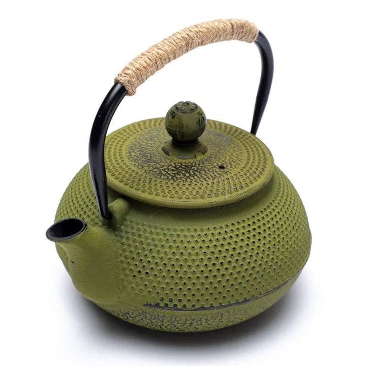 Tetsukyusu japanische Teekannen
