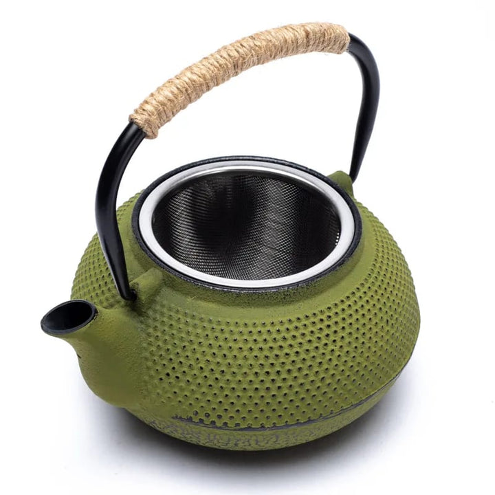 Tetsukyusu japanische Teekannen