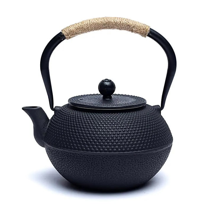 Tetsukyusu japanische Teekannen