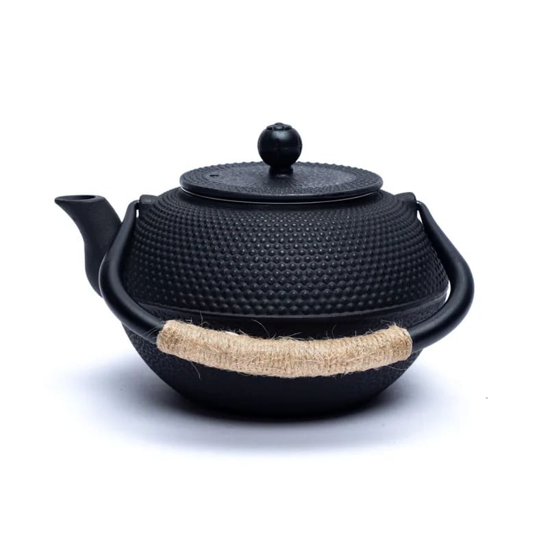 Tetsukyusu japanische Teekannen
