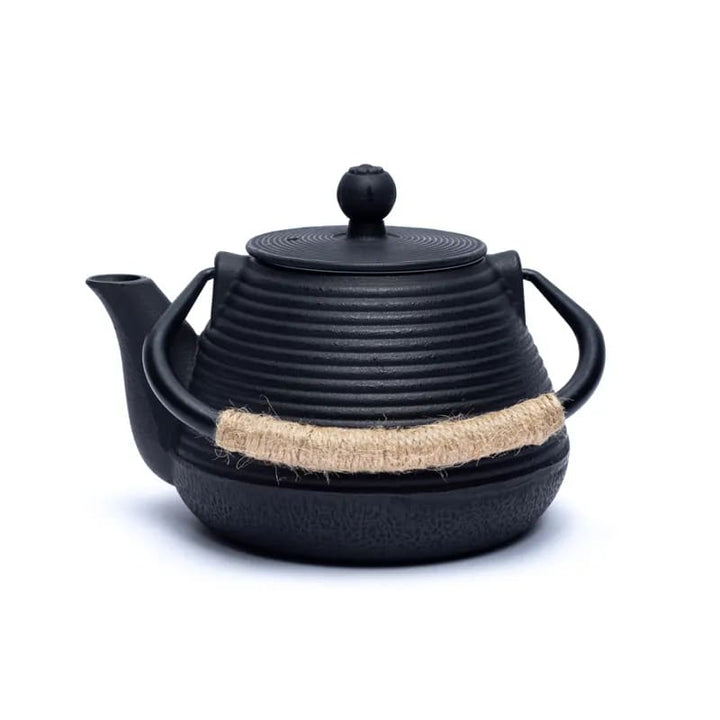 Tetsukyusu japanische Teekannen