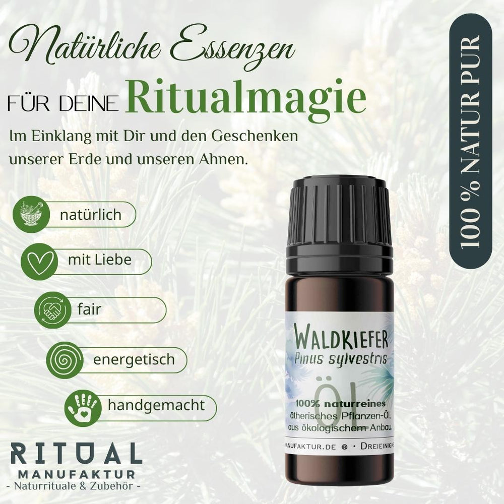 Waldkiefer I Ritualmanufaktur