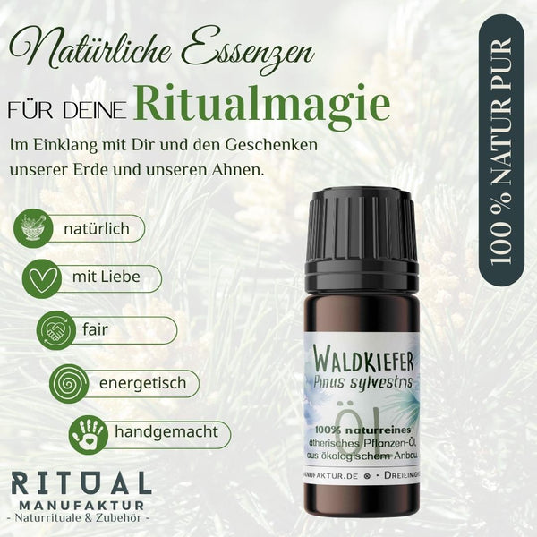 Waldkiefer I Ritualmanufaktur