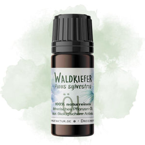 Waldkiefer I Ritualmanufaktur