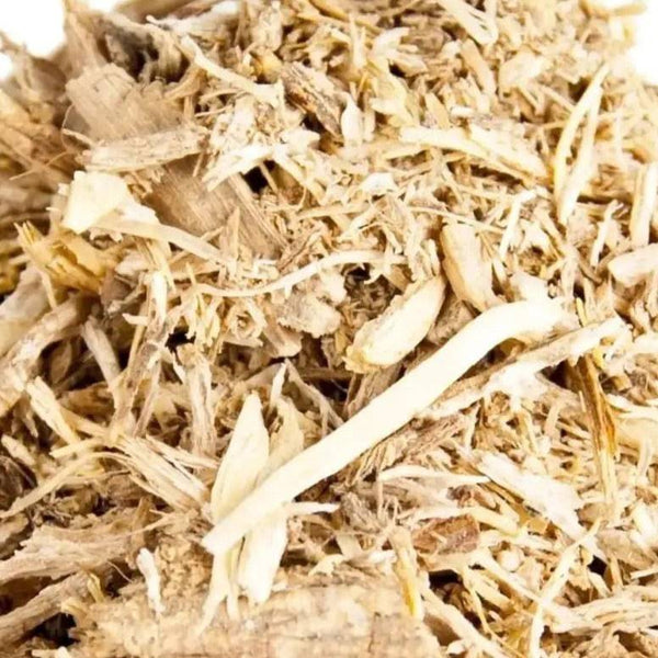 Angelikawurzel I Angelica archangelica - Ritualmanufaktur.de