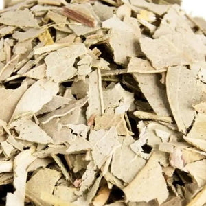 Eukalyptusblätter I Eucalyptus globulus - Ritualmanufaktur.de