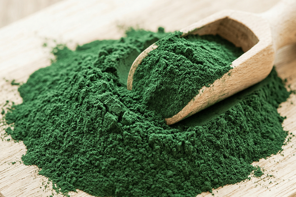 Chlorella BIO gemahlen - Ritualmanufaktur.de