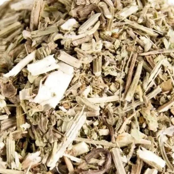 Eisenkraut Verbena officinalis - Ritualmanufaktur.de