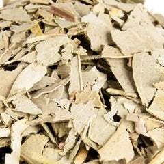 Eukalyptusblätter Eucalyptus globulus - Ritualmanufaktur.de
