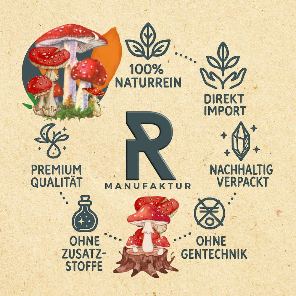 Fliegenpilz Amanita muscaria - Ritualmanufaktur.de