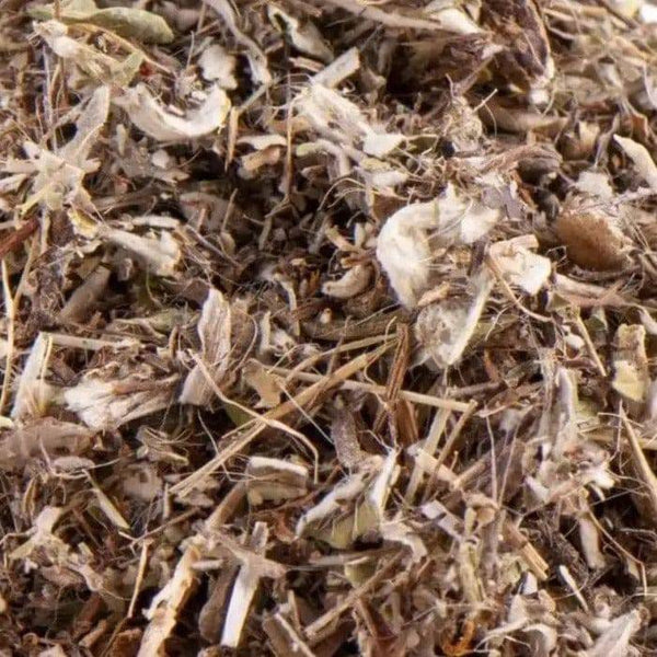 Habichtskraut Hieracium pilosella - Ritualmanufaktur.de