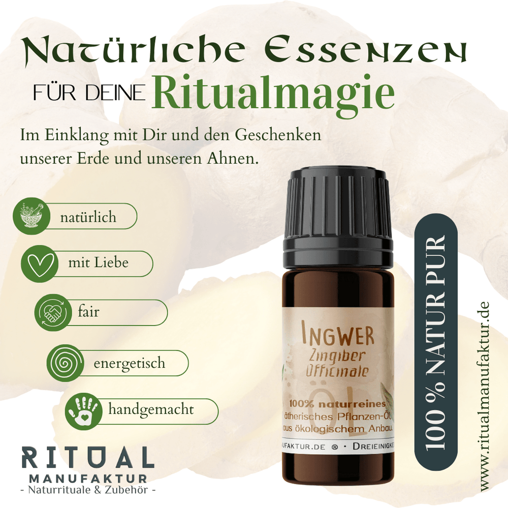 Ätherisches Öl Ingwer 10 ml für Aromatherapie Ritualmanufaktur