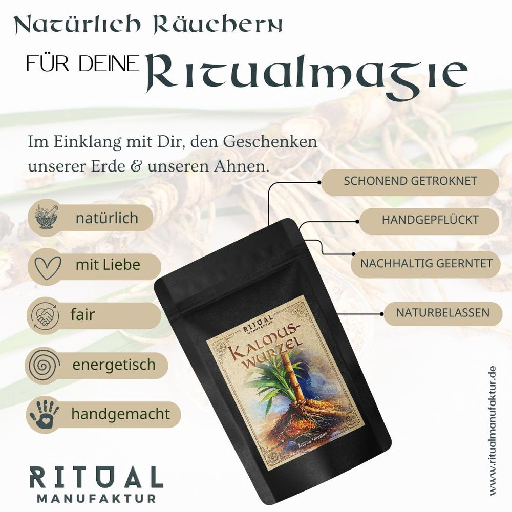 Kalmuswurzel Acoros calamus - Ritualmanufaktur.de