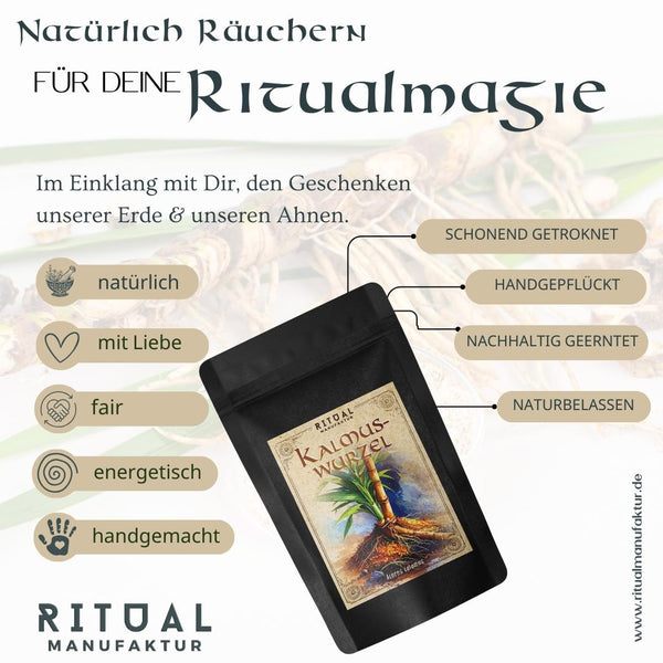 Kalmuswurzel Acoros calamus - Ritualmanufaktur.de