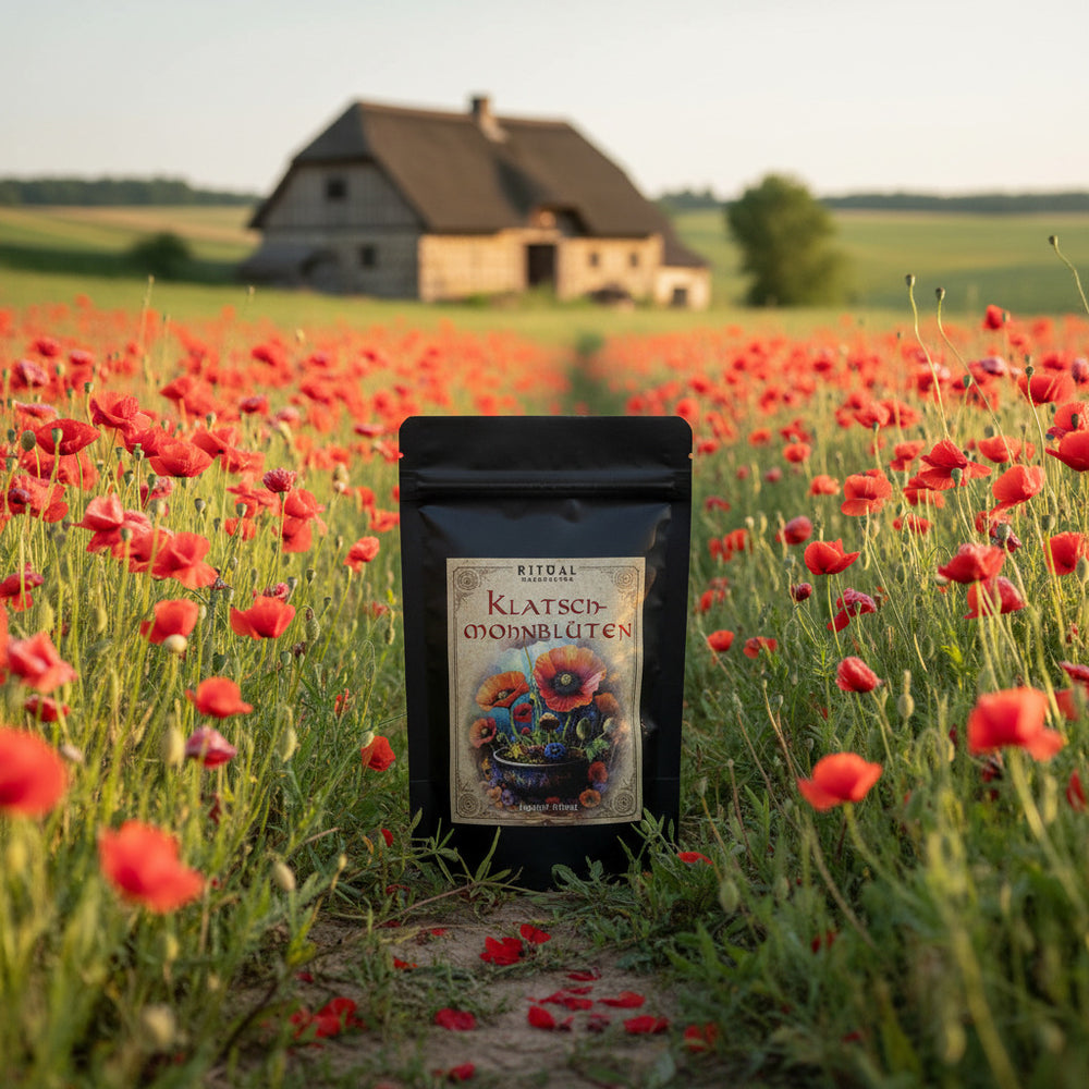 Klatschmohnblüten Papaver Rhoeas - Ritualmanufaktur.de