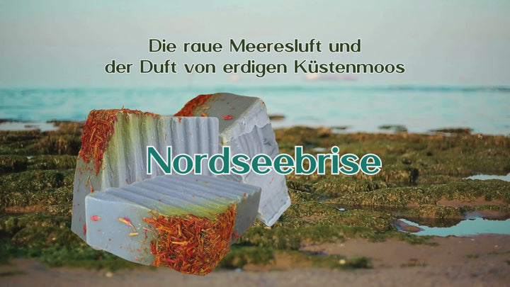 Nordseebrise I Meersalz & Moos