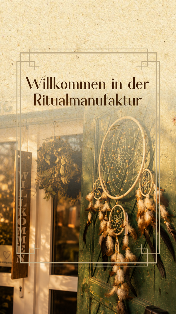 Einblick in unser Ladengeschäft