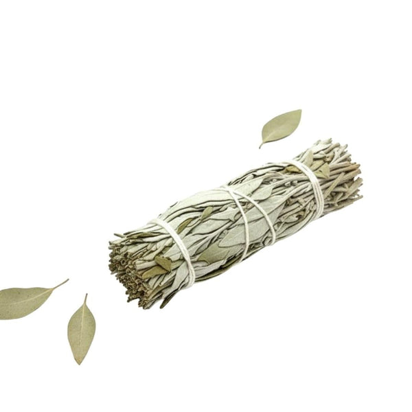 Restart Weißer Salbei & Eukalyptus Kräuterbündel - Ritualmanufaktur.de