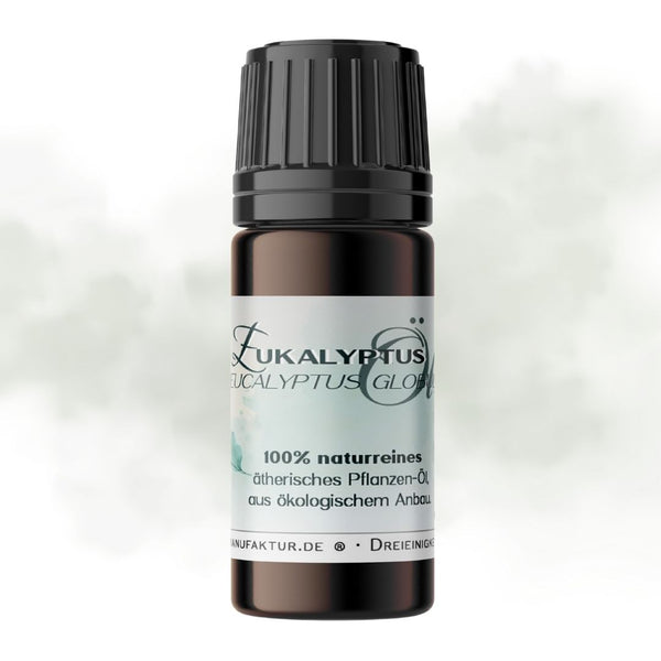 Eukalyptus naturreines ätherisches Öl - Ritualmanufaktur.de