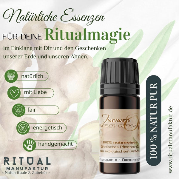 Ingwer naturreines ätherisches Öl - Ritualmanufaktur.de